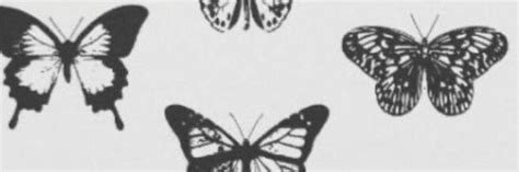 Pin By Lux On Headers ｡ Butterfly Twitter Header Butterfly