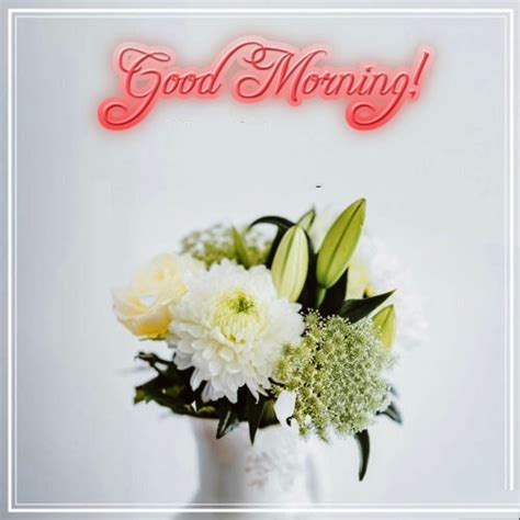 The morning has finally begun. Simple Good Morning Wish. Free Good Morning eCards ...