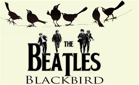 Blackbird The Beatles Lyric A Timeless Masterpiece Lefrock Online Store