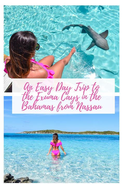 The Ultimate Guide On A Nassau To Exuma Day Trip Day Trips Bahamas My