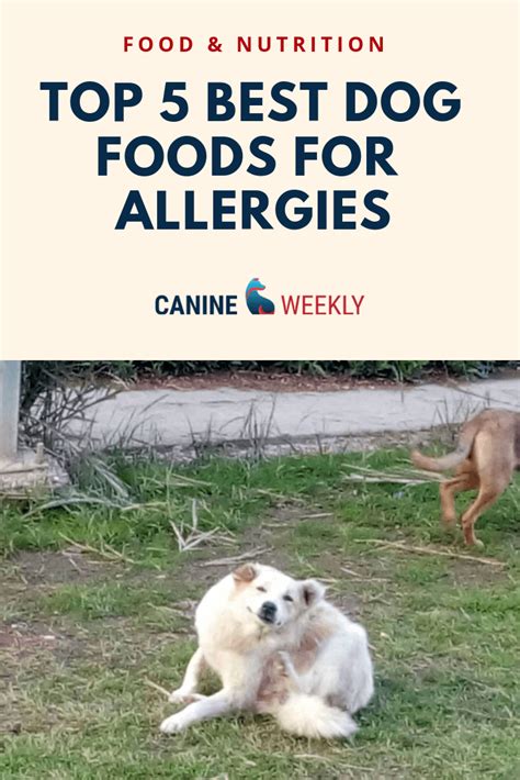 In an effort to simplify the yeast starvation dog food recipe i have incorporated the use of supplements.without the supplements the dog food recipes would need an additional 10 to 20 ingredients. Food allergies happen when a dog's immune system ...
