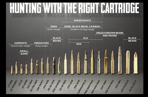 Selecting The Right Caliber Hunt In