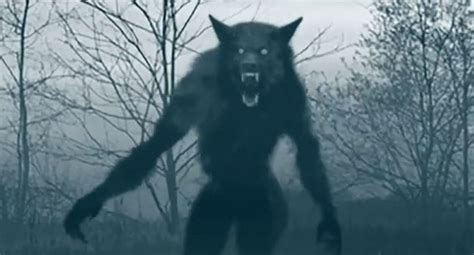 The Werewolf Attack At Lockett Ranch Werewolves