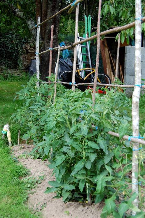 Support à Tomate Jardin De Tomates Potager Treillis Jardin