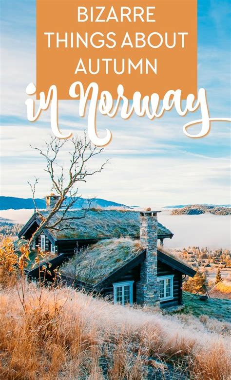7 Things That Surprised Me About Autumn In Norway Heart My Backpack