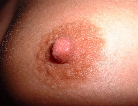 Close Up Pics Of Nipples Page 2 XNXX Adult Forum