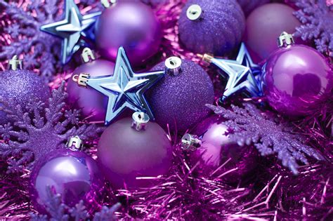 Photo Of Purple And Pink Christmas Free Christmas Images