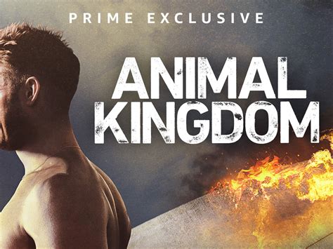 Watch Animal Kingdom Season 2 Prime Video