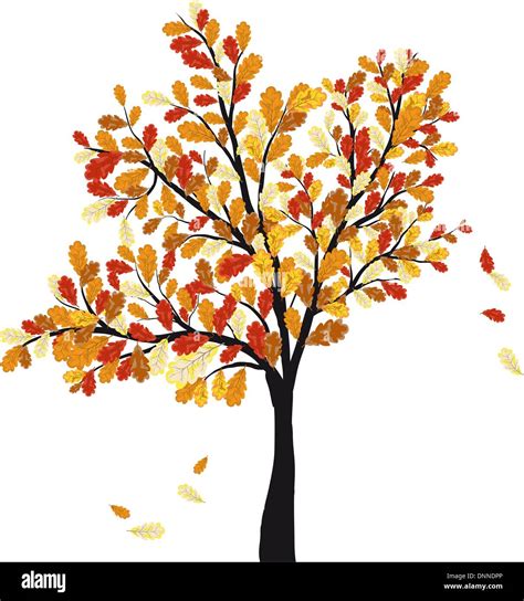 Autumn Oak Tree With Falling Leaves Vector Illustration Stock Vector
