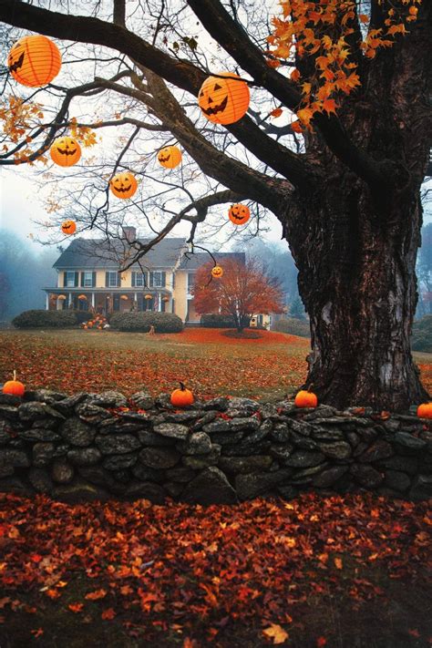 Happiness On Twitter Fall Halloween Decor Fall Pictures Halloween