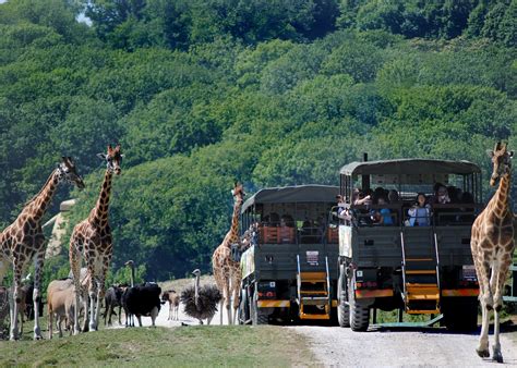It also runs a number of conservation projects overseas t. The Aspinall Foundation Blog | Short breaks