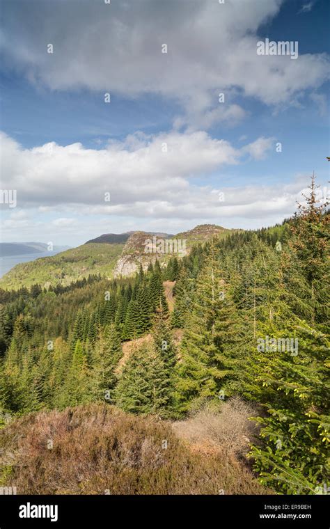Farigaig Forest Scotland Hi Res Stock Photography And Images Alamy