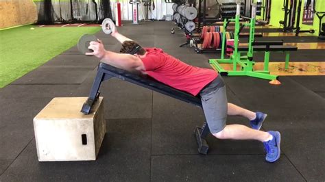 The 7 Best Lower Trap Exercises Fitness Volt