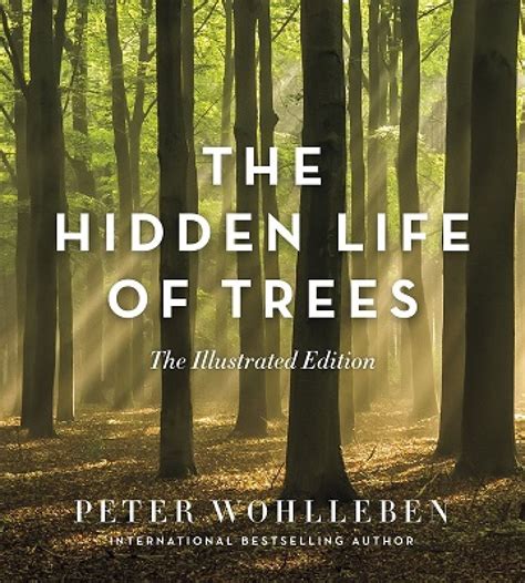 The Hidden Life Of Trees By Peter Wohlleben Jane Billinghurst