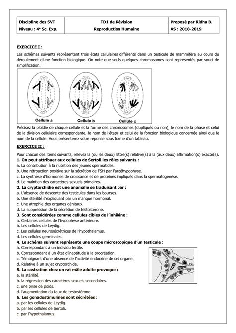 Td1 4e Sc Exp 2018 Reproduction Humaine