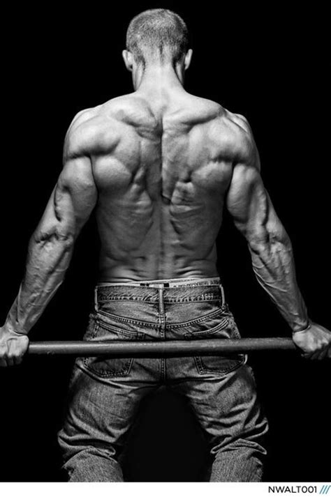We'll start with the two largest muscles of the back musculature. figure reference - male back | Anat | Pinterest