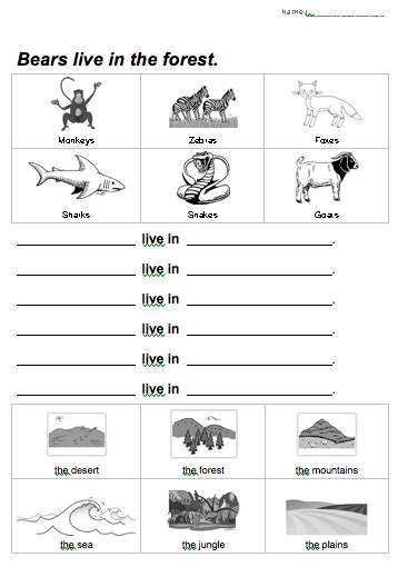 Free grade 2 math worksheets, organized by grade and topic. animal habitat worksheet | Animal habitats, Worksheets for kids, Habitats