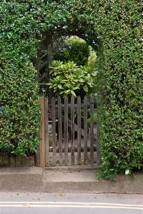 41 Incredible Garden Hedge Ideas For Your Yard In 2020 Garden Hedges