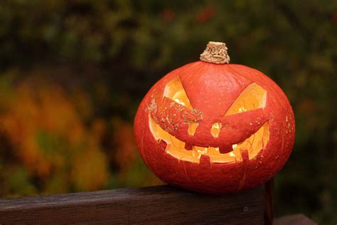 Pumpor Och Spöken Fira Halloween Hållbart