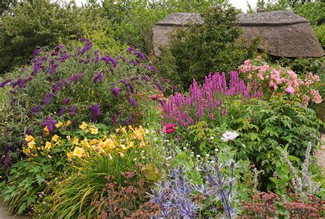 Top Gardening Tips For July