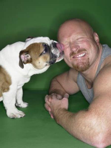 This quiz will cover all sorts of pets! Why Do Dogs Lick Human's Faces? - Pets