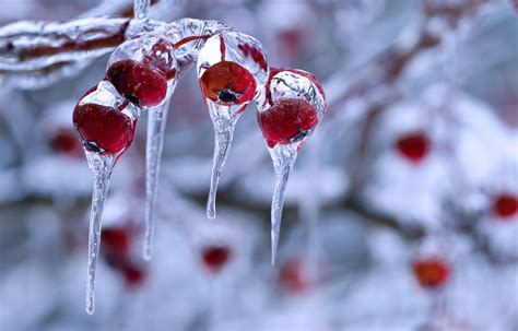 Hd Wallpapers 2012 Winter Nature Photography