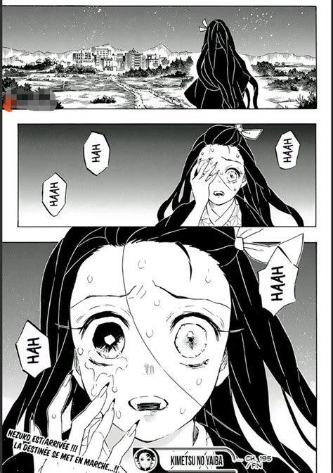 Démon Slayer Demon Slayer Manga Manga Prints Demon Slayer Manga Panels
