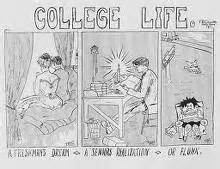 College Life Funny College Quotes