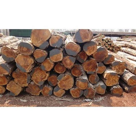 Round Teak Wood Log At Rs 1200cubic Feet Teak Wood Logs In Gurgaon