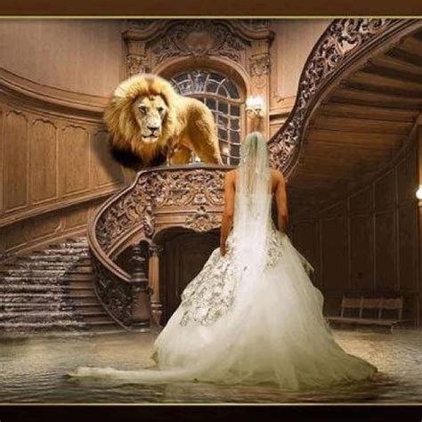 The Lion Of Judah And The Bride Bride Of Christ Lion Of Judah Tribe
