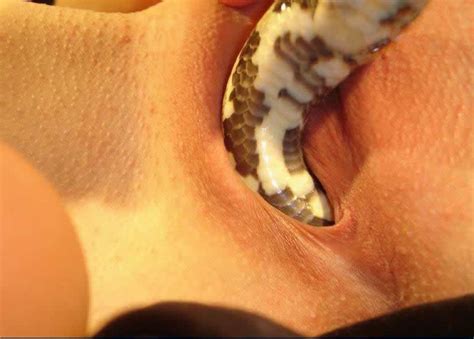 Snake Animal Porn Captions - Snake Bestiality | Free Hot Nude Porn Pic Gallery