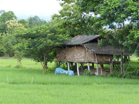 Gambar Bidang Tanah Pertanian Padang Rumput Pondok Desa Gubuk