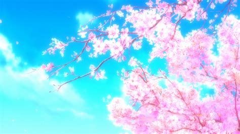 Oct 02, 2016 · if you have any suggestions for anime backgrounds which i've missed, please feel free to link me to down in the comments, i recommend to allow this guide to load for a few second as this guide will contain a lot of image. Sakura HD Wallpaper | Background Image | 1920x1080