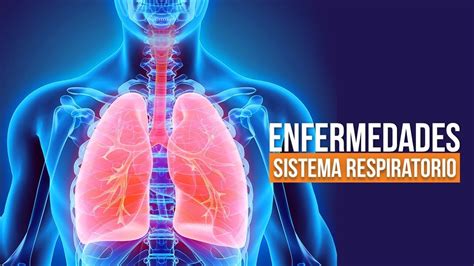 Enfermedades Del Sistema Respiratorio Causas Síntomas Y Tratamientos