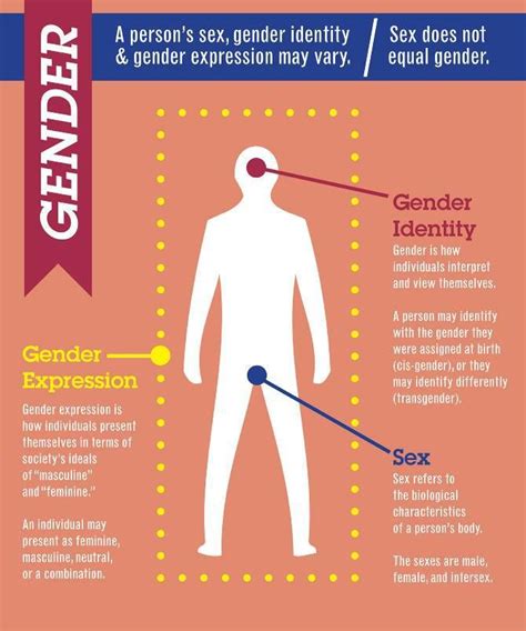 A Comparison Of The Differences Between Sex And Gender