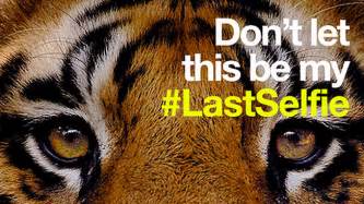 Wwf Snaps Lastselfie Of Endangered Animals Adweek