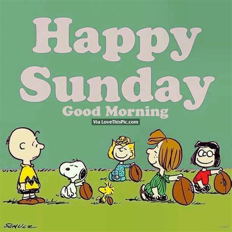 Happy Sunday Good Morning Pictures Photos And Images For Facebook