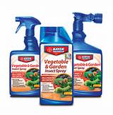 Pictures of Vegetable Garden Pest Spray