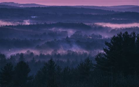 Download Wallpaper 3840x2400 Forest Fog Sunset Trees Sky Evening