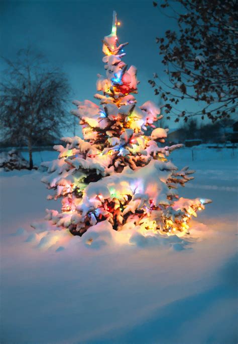 A Wonderful Christmas Scene With Images Christmas Lights Snow