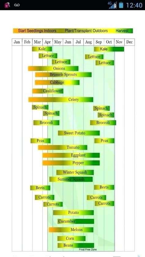 Zone 7b Planting Guide Plant Ideas