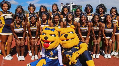 The College Life Of A Hbcu Cheerleader Onyx Phonix
