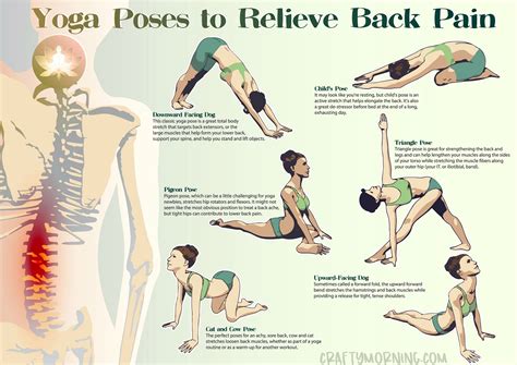 Release Lower Back Muscles OFF 62