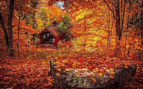 Covered Bridge In Autumn Fall Forest Autumn Leaves Bridge Covered