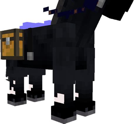 Minecraft Equestrian Skins Minecraft Skin