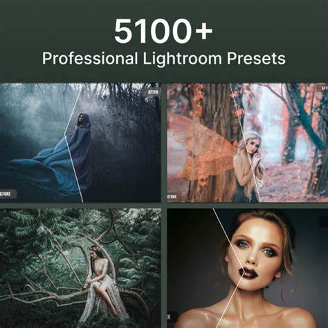 5100 Professional Lightroom Presets Masterbundles
