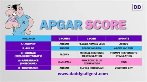 The Apgar Score For Newborns Daddys Digest