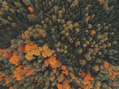 3000x2250 Drone Road Amazing Aerial Color Nature Desktop Forest