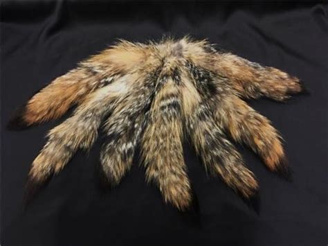 Genuine Cross 7 Fox Fur Tail S Fur Liquidation