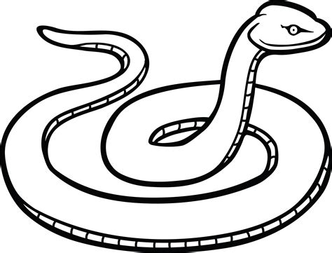 Download Free Clipart Of A Snake Snake Clipart Black And White Full